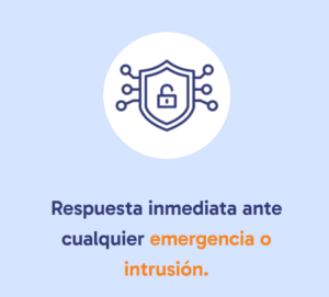 Respuesta inmediata ante cualquier emergencia o intrusión.